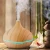 Import Ultimate Aromatherapy Diffuser Essential Oil Set Ultrasonic Diffuser Top 10 Essential Oils - 300ml Diffuser with 4 Timer 7 light from China