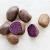Import vegetable dehydrator dried vegetables purple sweet potato from China