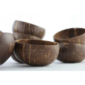 Vietnamese Handcrafted Coconut Shell Bowl New Arrival 2021