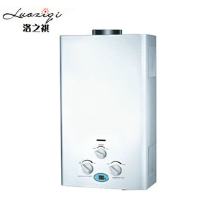 Wall mounted Geyser Flue Type Gas Boiler Domestic Instant Tankless Propane Gas Water Heater