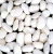 Import White Kidney Beans for sale from China
