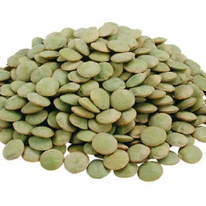 Whole Green Lentils, Green Split lentils, New crop lentils
