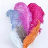 wholesale cheap ostrich feathers for wedding