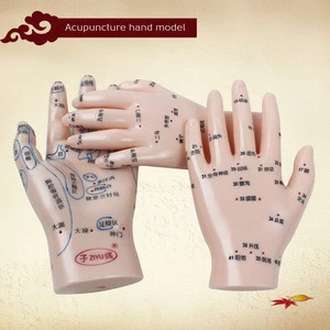 Wholesale chinese traditional medicine acupuncture hand model