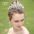 Import Wholesale Fashion Hair Jewelry Accessories Earring Wedding Dress Silver Hairband Bridal Princess Rhinestone Crown Tiaras from China