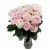 Wholesale Fresh Cut Flowers High Grade Cut Fresh Pink Avalache Roses