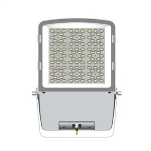 Wholesale High Quality 100w Led Flood Light Outdoor Flood Light Led with Remote Control