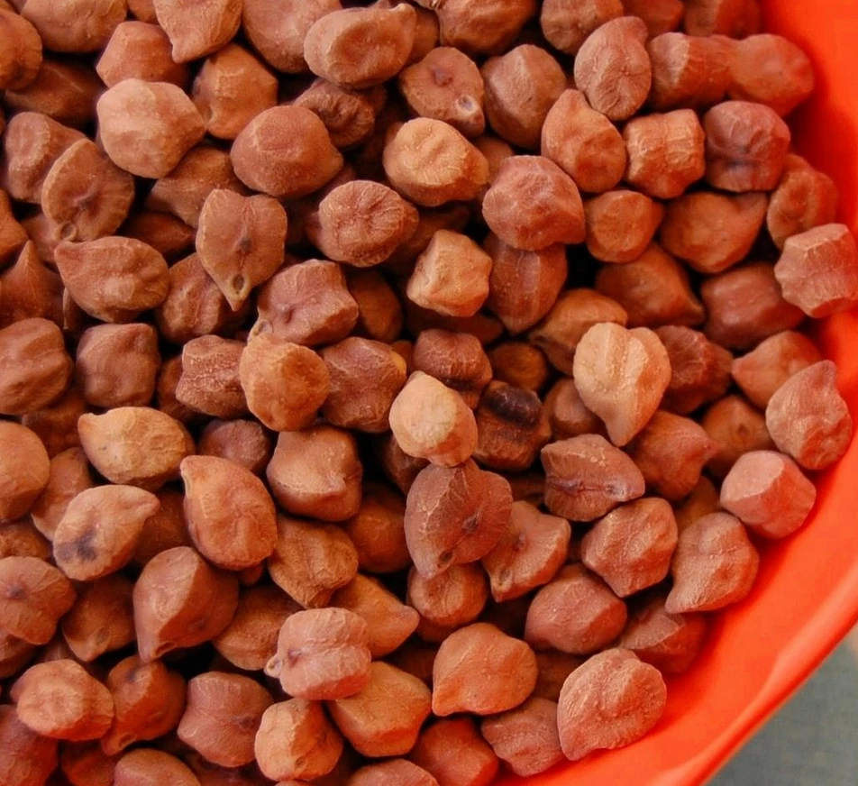 Wholesale Kabuli Chickpeas with Reliable Market Price