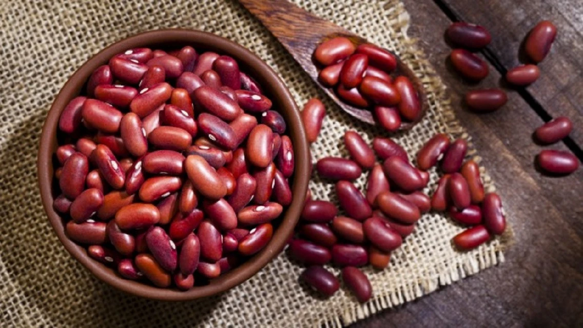 Wholesale Light Red Kidney Beans Organic - 25g