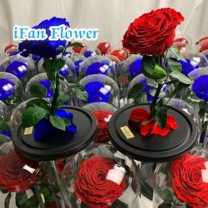 wholesale preserved rose in glass dome fresh cut flowers blue roses for UAE national day export to UAE