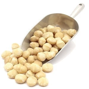 wholesale Raw/ Roasted Macadamia nuts price