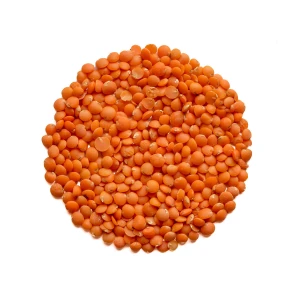 Wholesale red lentils in stock
