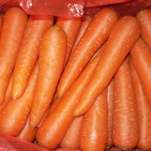 Wholesale sell sell fresh carrot