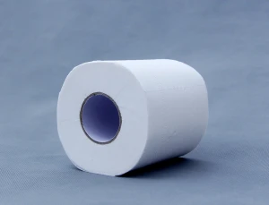 Wholesale Soft Bulk Toilet Paper Tissue Rolls from Manufacturing plant