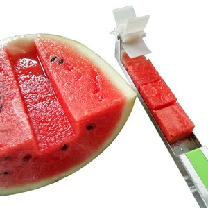 Windmill Watermelon Slicer Cutter Stainless Steel Knife Tongs Corer Vegetable Tools Kitchen Gadgets