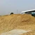 Import WOOD CHIPS FOR INDUSTRY RUBBER WOOD CHIPS MIXED WOOD CHIPS from Thailand