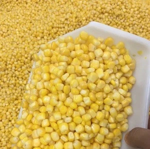Poultry, Animal Feed Yellow Maize, Yellow Corn For Sale