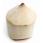 Young Fresh Coconut / Green Coconuts