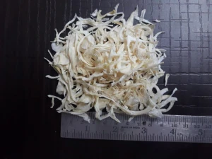 Best Quality Dehydrated Onion in Wholesale Price