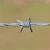 Import Barbed Wire Galvanized and PVC coated Security Wire Fence Concertina steel from China