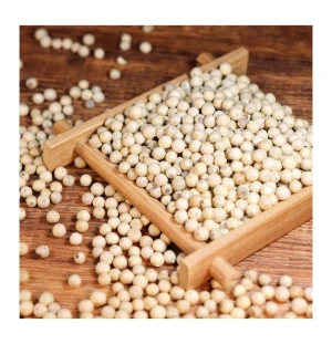 Wholesale Organic White Pepper |Peppercorns Whole Seeds Pure All Natural Premium Spices