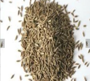 100% Natural Cumin Seed Extract powder High quality 100% Cumin Seed