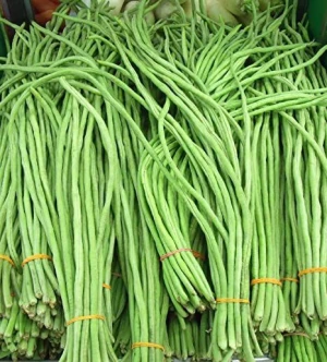 Fresh green asparagus beans