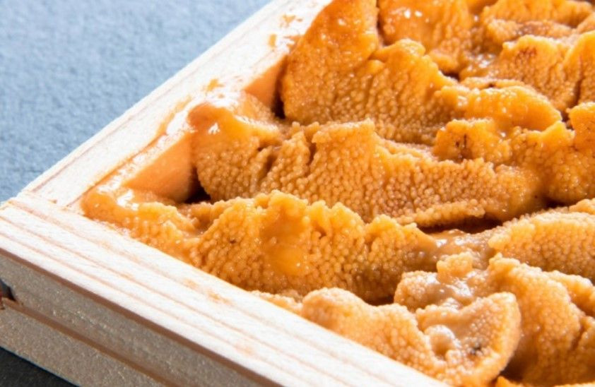 Buy Frozen Sea Urchin Roe (uni) from Teraso Food, South Korea