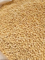 Soya beans