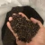 Import High-Quality Premium Black/White Pepper 500GL 550GL - Bulk 25kg Bag for Food Industry from Tanzania