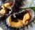 Import Frozen Sea urchin roe (Uni) from South Korea