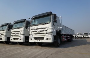 SINOTRUK HOWO Series Cargo Truck/Cargo Crane