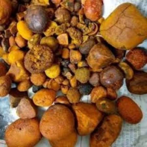 Gallstones ox and cow for sale