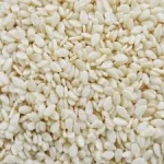 SESAME SEED