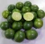 Import Fresh Seedless Lemon - Lime from Vietnam