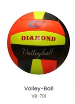 Volley Ball