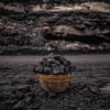 High Quality Coal