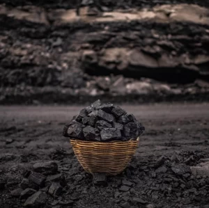 High Quality Coal