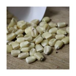 White corn available for bulk export worldwide