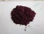 Import Elderberry Extract powder from China