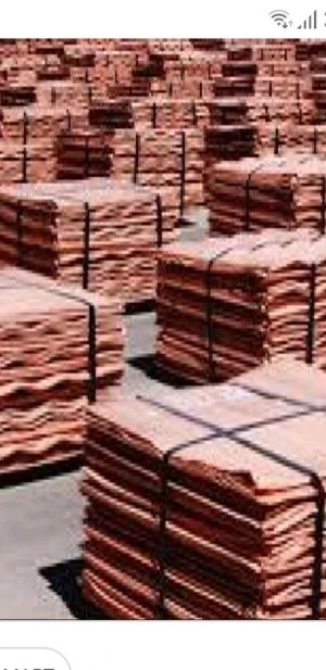 Copper Cathode
