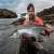 Import Fresh Atlantic Salmon Fish /  Frozen Salmon Fillets / Fresh Salmon HON from Norway