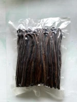 Vanilla Bean