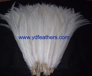 Bleached white silver pheasant tail feathers