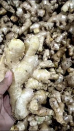 Supplier fresh ginger from Indonesia