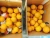 Import Egyptian Valencia Orange (Grade A) & (Grade B) from United Arab Emirates