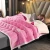Import Bean Paste Colored Bed Blanket,Thicken Front Milk Velvet Contact Lamb Wool Padded Blanket from China