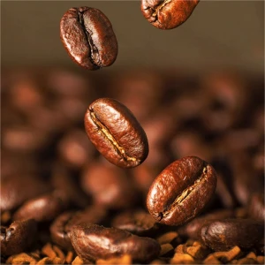 Best Arabica Coffee Beans Rich Aroma Arabica Coffee Beans Perfect Choice For Wholesale And Premium Export Orders