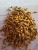 Import OrganicTurmeric Powder, Conventional Turmeric Powder, Turmeric from India