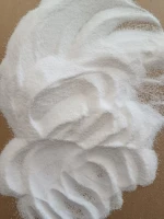Detergent powder salt